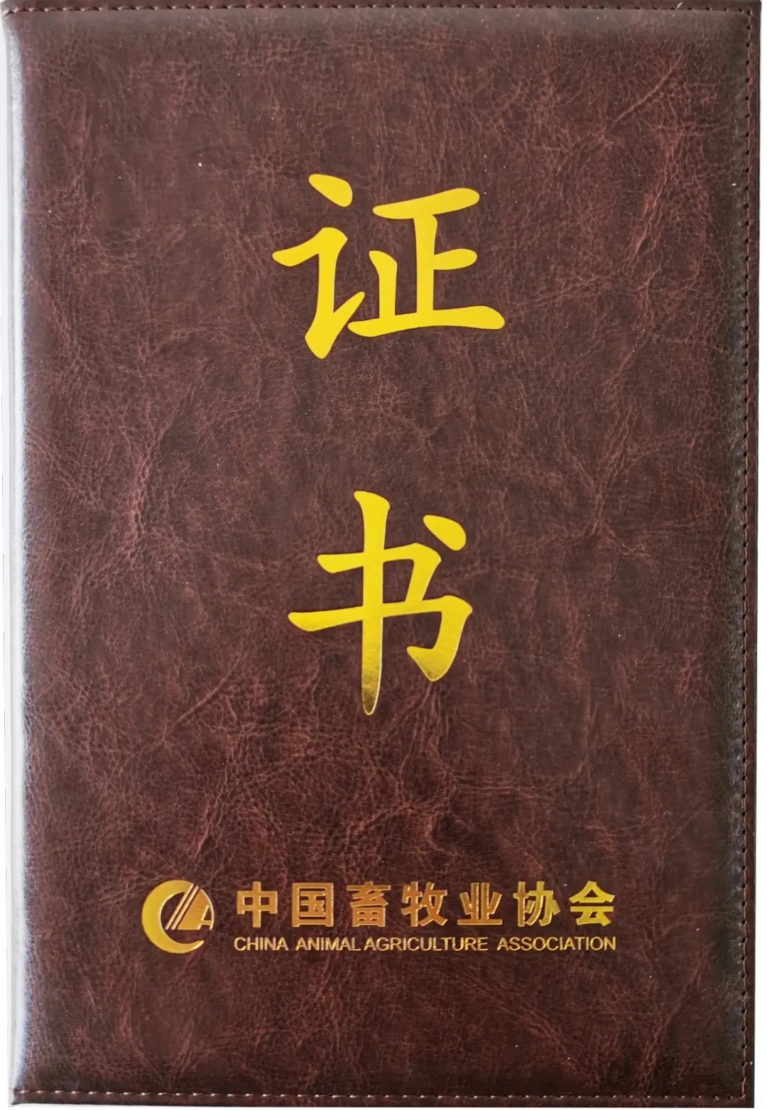 1609204700340411.jpg 640.webp.jpg